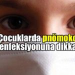 Pnömokokal Hastalık
