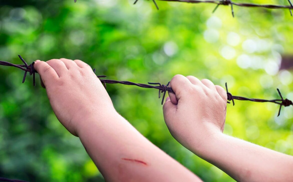 Child's hands on a rusty barbed wire in a sunny green blurry background