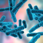 Prebiyotikler, Probiyotikler, Postbiyotikler ve Simbiyotikler